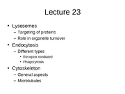 Lecture 23 Endocytosis then Cytoskeleton