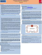 Customer experience assignemnt_A1-converted (1).pdf