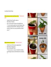 unknown plant project (1).docx