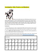 Hamza Abulenin - Investigation Activity DNA, Proteins, and Mutations - 10766141.pdf