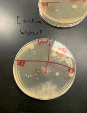 Upload pictures from handwashing lab.  (Sep 15, 2022 at 2_11 PM).pdf