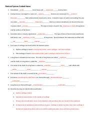 Skeletal System Guided Notes - Key.docx