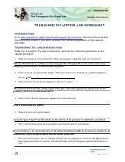 Microbiology Transgenic-Fly-Lab-Worksheet-Student-converted (1).docx