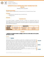 Ejercicios - Macroestructura, Superestructura etc.pdf