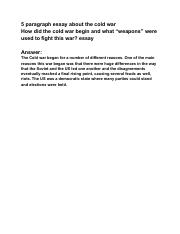 essay about the cold war.pdf