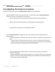 Investigating The Endocrine System kim.docx