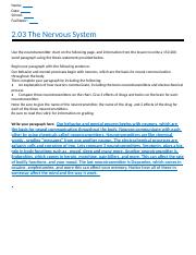 the nervous system.doc