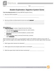 DigestiveSystem Gizmo 2021.docx