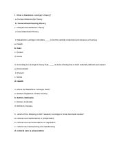 madeleine-leininger-questionnaire.docx