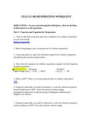 Cell  Respiration Webquest