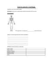 Guía Osteología y artrología.docx