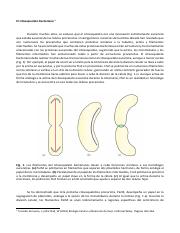 El citoesqueleto bacteriano.pdf