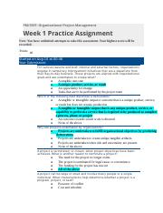 PM350T Week 1 Practice Assignment.docx