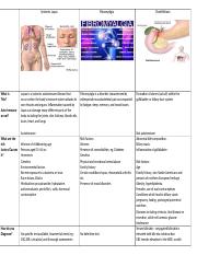 SLE, Fibromyalgia, Gallstones Template-1.docx