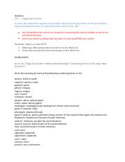 HPHY 211- Word List 7 (Digestive System).pdf