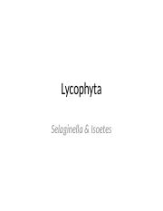Lycophyta-Selaginella & Isoetes.pptx
