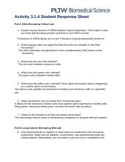 Copy of 3.1.4 Student Response Sheet.docx
