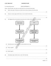Homeostasis questions.pdf