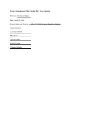 Team Chester_Project Management Plan @1(3).docx