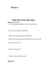 UTF-8''ClamDissectionQuestions.doc
