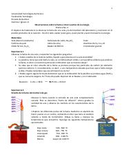 P-4 observaciones sobre la llama.pdf