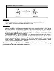 Experiment 9. Reduction of Camphor (Spring 2022).pdf
