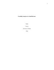 NuLWBFeasibility Analysis of a Small Business.docx
