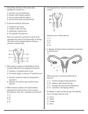 MC Q's #1-9 (male and female anatomy).pdf
