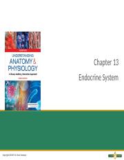 BSF ch 13 Endocrine System PN.pptx