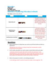 Micro-Lab Aseptic ElkinsBailey.docx