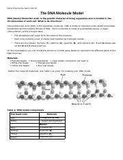 DNA Molecule Lab with Beads.docx.pdf