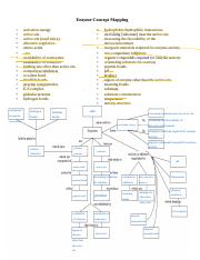 Kami Export - Enzyme_Concept_Map.pdf