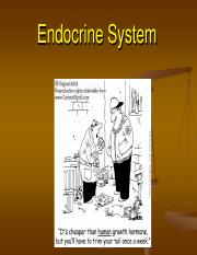 Part 3 Endocrine System 2022.pdf