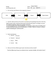 Animal Body Plan  - Summer Chabot Biology Animal Body Plans WS Name:  _ G2 Date: _ March 19 Block: _ 1. Fill in the flow chart below on the |  Course Hero