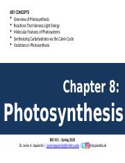 11_Photosynthesis_S20.pptx