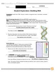 BUILDING DNA GIZMO.pdf