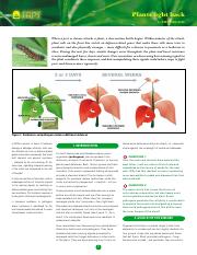 Plants Fight Back.pdf