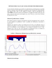 Proyecto Hidrología.docx