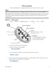11 Photosynthesis-S-1.pdf