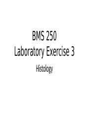 BMS 250 Lab 3 Tissue Intro - Sample Lecture.pptx