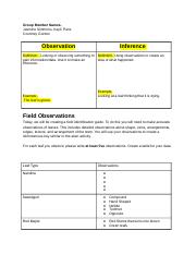 Copy_of_Leaf_Observation__Dichotomous_Key_-_Activity_Sheet