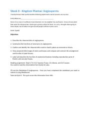 Worksheet 8 - Angiosperms (3).docx