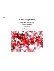“Email Assignment COMP 106”.docx