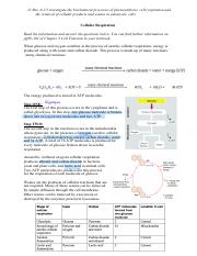 C. Cellular Respiration (III).pdf