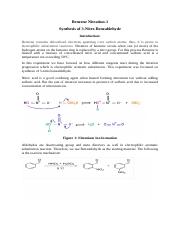 Benzene Nitration-1.docx