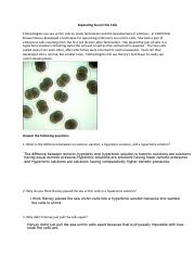 Separating_Sea_Urchin_Cells_with_Photo.pdf
