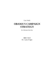 Obama Campaign Strategy