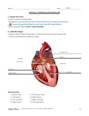 pulmonary-lab-activity.pdf