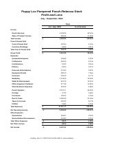 CH11 Profit and Loss Statement.xlsx