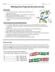 DNA Replication Paperclip Activity 2021 REMOTE handout (1).pdf